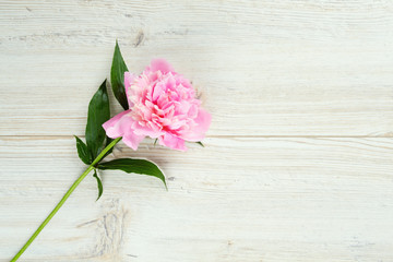 Fototapeta na wymiar peony flowers on wooden surface