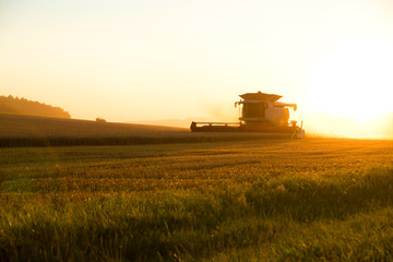 Naklejka premium Ernte im Sonnenuntergang