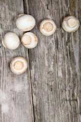 Obraz na płótnie Canvas Fresh mushrooms