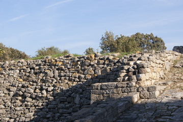 Preserved walls