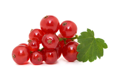 Currant