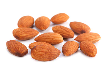 Almond nut seed