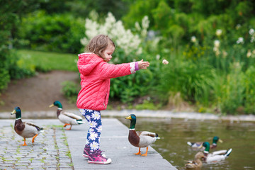 Adorable little girl feeding ducks at summer