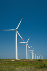 Fototapeta premium Wind power generators