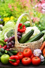 Stickers meubles Légumes Légumes biologiques frais dans un panier en osier dans le jardin
