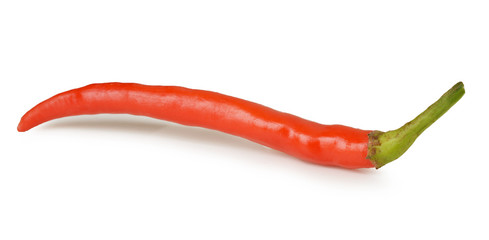 Hot chili peppers isolated on white background