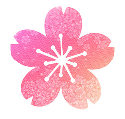 cherry blossom flowers background.