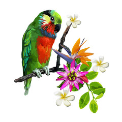 exotic birds and beautiful flowers - 66434493