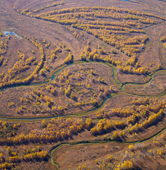 Tundra in autumn