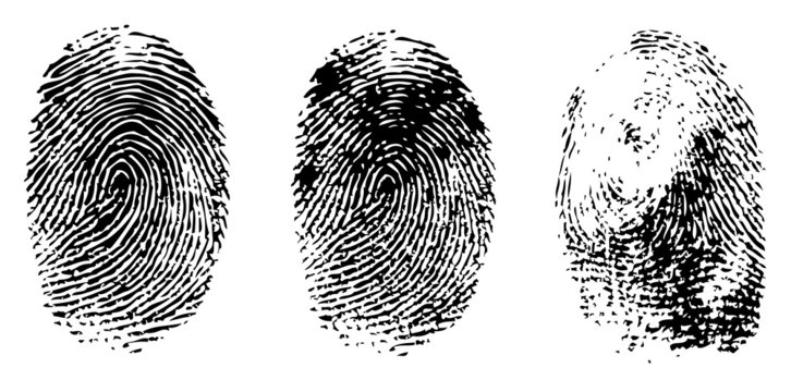 different black fingerprints, vector