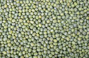 dried mung beans