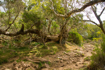 Abstrakte Wanderwege