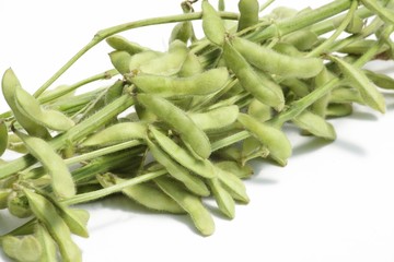 枝豆