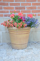 Fototapeta na wymiar Flowers in the pot on brick wall background