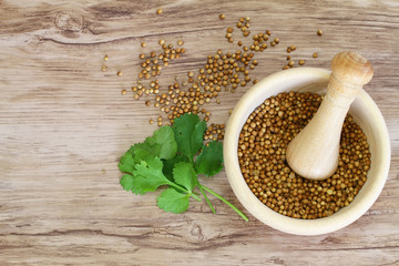 Coriander seeds in mortar and fresh coriander leaves