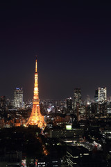 Fototapeta na wymiar Tokyo cityscape at night, Japan