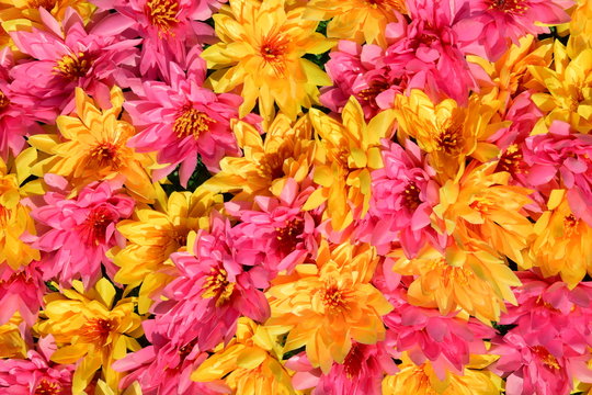 Yellow And Purple Artificial Flowers As Background