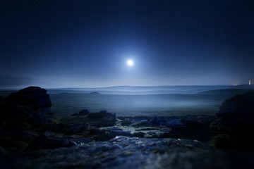 Fototapeta na wymiar Moonlight Landscape