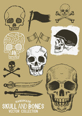 Vector Pirate Skull and Bones Set