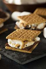 S'mores with Marshmallows Chocolate and Graham Crackers