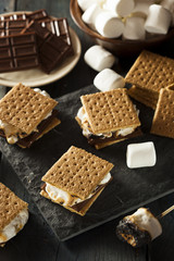 S'mores with Marshmallows Chocolate and Graham Crackers
