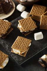 S'mores with Marshmallows Chocolate and Graham Crackers