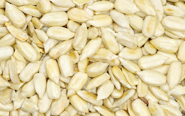sunflower seeds