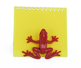 frog on paper