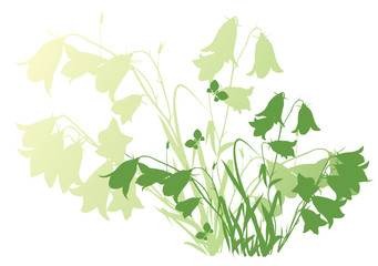 background with flowers bluebells