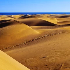 Foto auf Acrylglas Natural Reserve of Dunes of Maspalomas, in Gran Canaria, Spain © nito