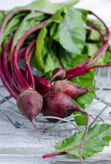 Young, fresh organic beets with green leaves