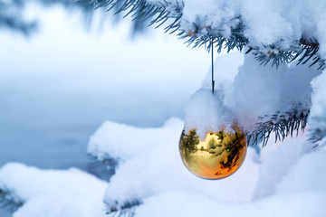 Bright Gold Ornament Hangs From Snow Covered Christmas Tree