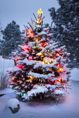 Brightly Lit Snow Covered Christmas Tree