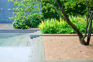 Garden landscape