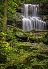 Fototapeta premium Quakertown Falls