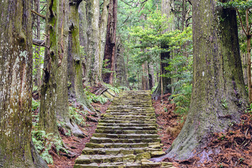 Obraz premium Kumano Kodo in Wakayama, Japan at Daimon Slope