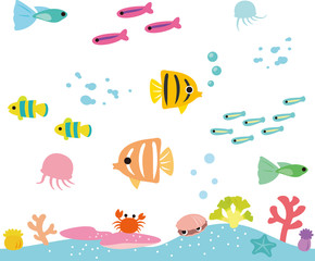 熱帯魚とサンゴの海
