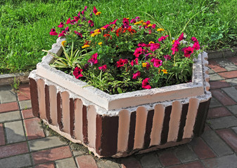 Beautiful flowerbed with many bright violet petunias .