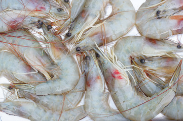 Fresh Shrimp in Thai market
