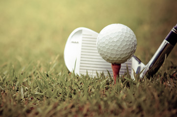 Golf club and ball on grass.
