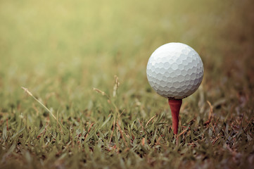 Golf club and ball on grass.