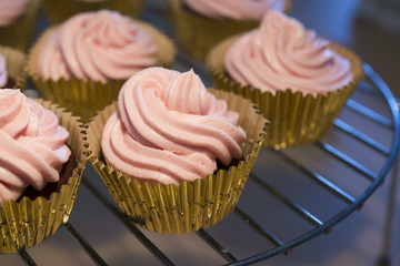 Homemade Cupcake