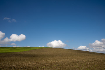 Chianti Landscape