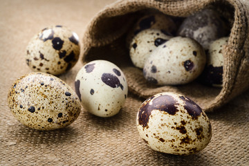 Selective focus image of a quail eggs
