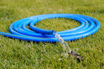 Garden Blue hose  on green grass.
