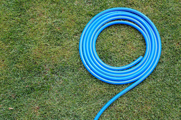 Garden Blue hose  on green grass.