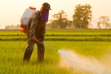 Farmer spraying pesticide