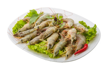 Raw tiger shrimps