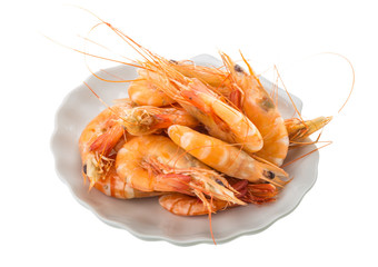 Big tiger shrimps