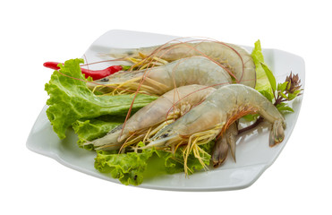 Raw tiger shrimps